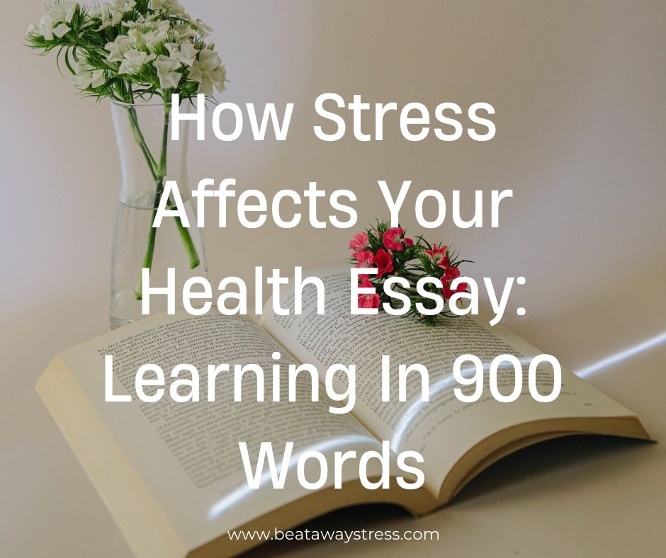 how stress affects your health essay
